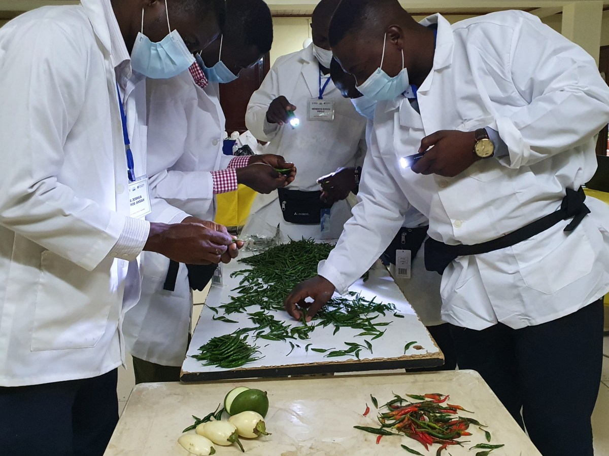 MRL Harmonization (2020-2024)