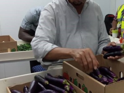 West Africa: Food Safety Program&nbsp;(2020-2024)